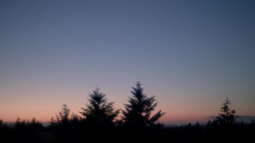 The sun is setting behind the trees in the forest