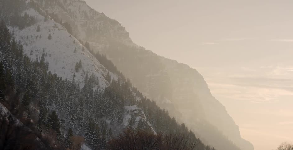 The mountain is covered with tree snow and fog
