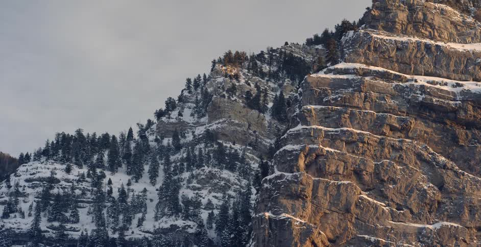 Rocky mountains lined with snowy trees