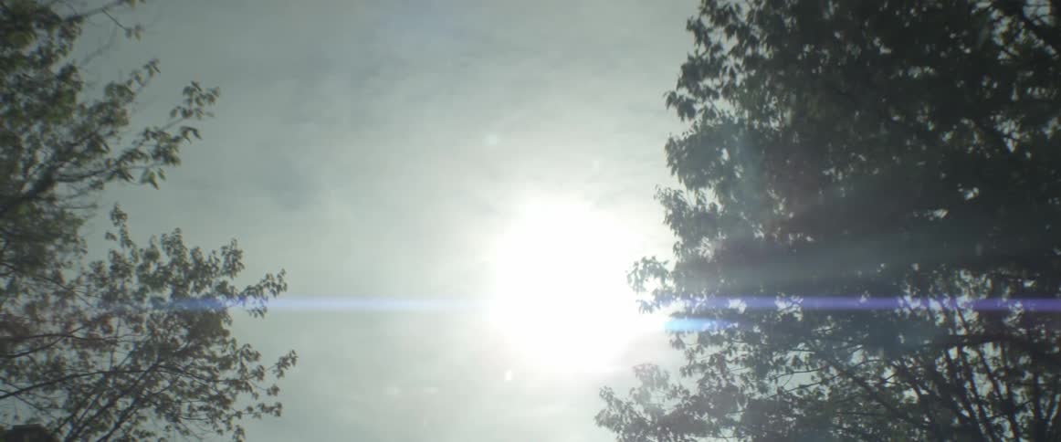 The sun is shining through the trees