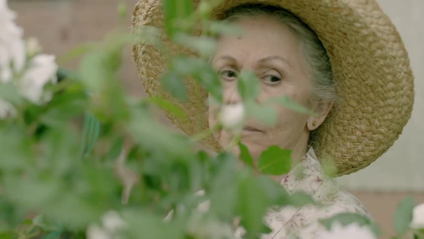 A woman in a straw hat looks over a flowering bush as she gardens