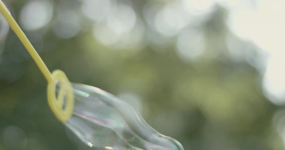 Bubbles are blown on a sunny day