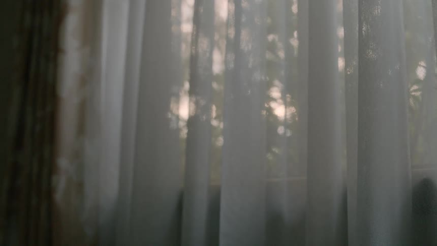 White curtains are being filmed up close and you can see the trees swaying outside the window