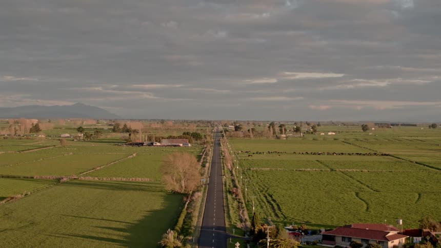 Rural road stretches forward on cloudy day