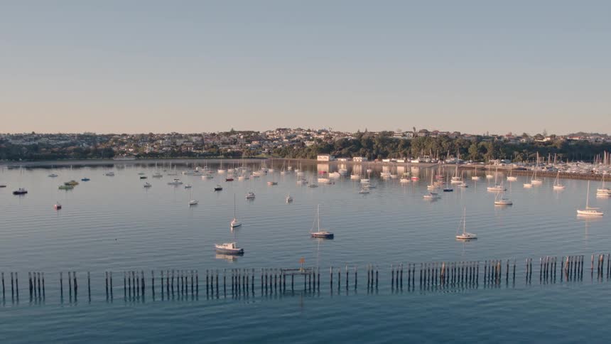 A bunch of small boats are sitting in the water next to land