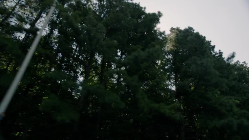 Traveling view of sun shining through trees