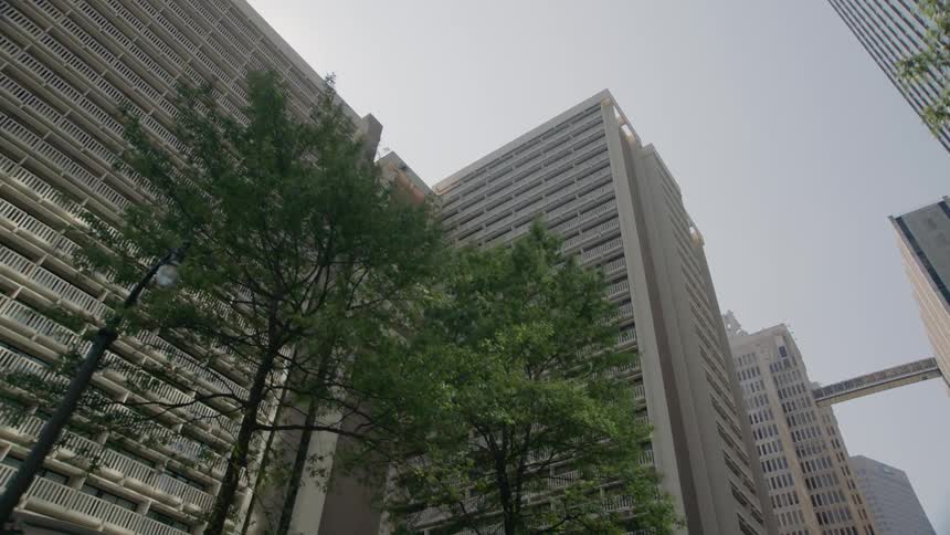 Trees in front of a large building