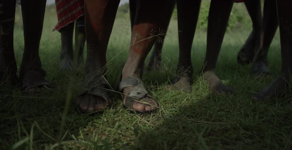 Maasai people stand in grassy field