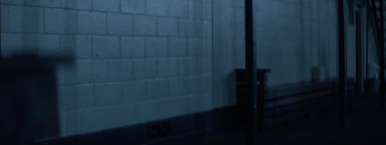 Shadows are moving alone a white brick wall
