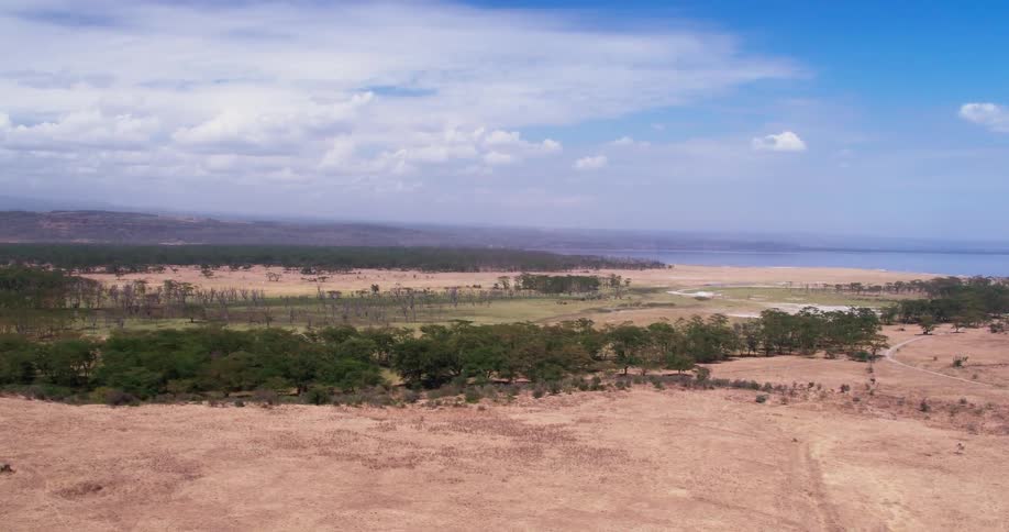 Trees cover the landscape near water