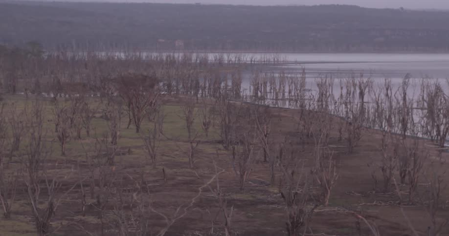 Tree covered grassland next to a body of water