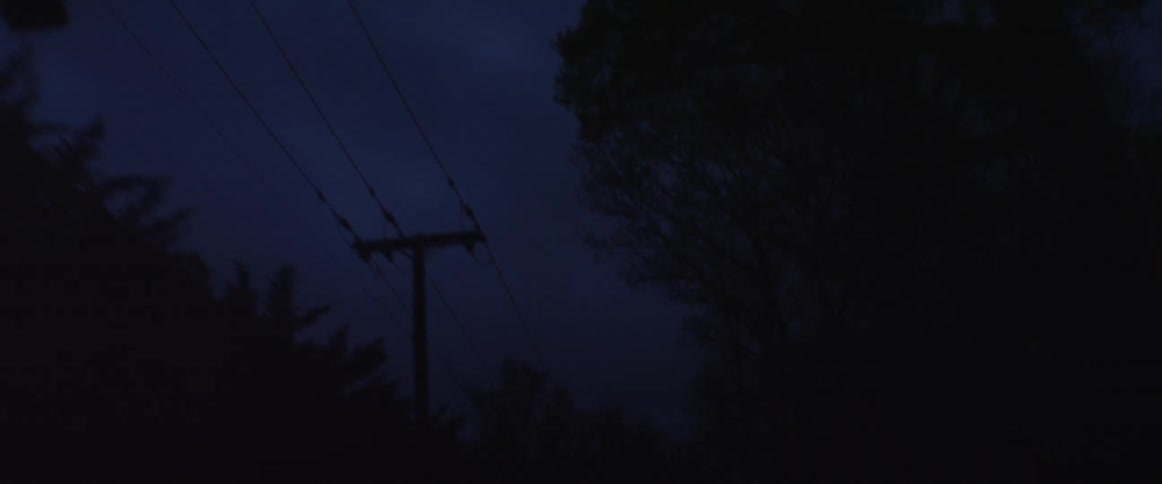 Driving under power lines and trees at night