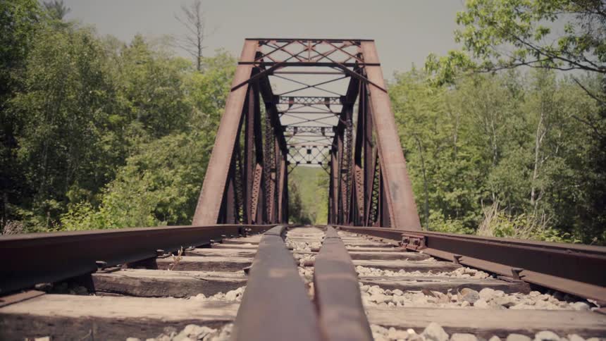 Tree branches sway in the breeze near a railroad bridge