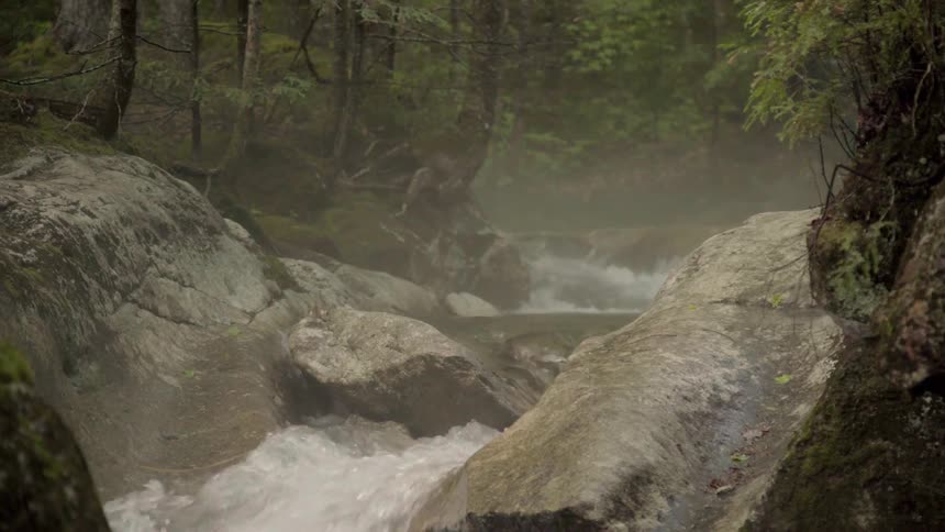 A river in a forest rushes over and between boulders