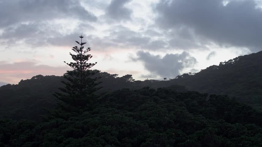 Clouds drift over tree-covered hills at dusk