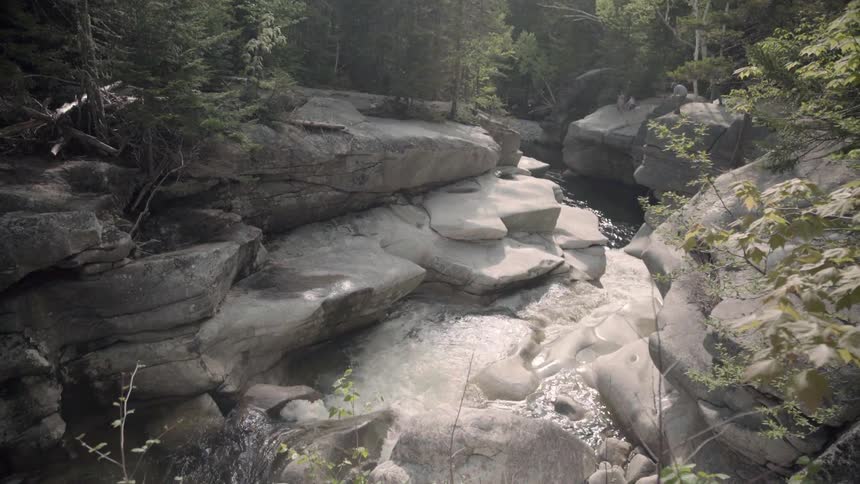 A forest stream rushes between boulders during the day