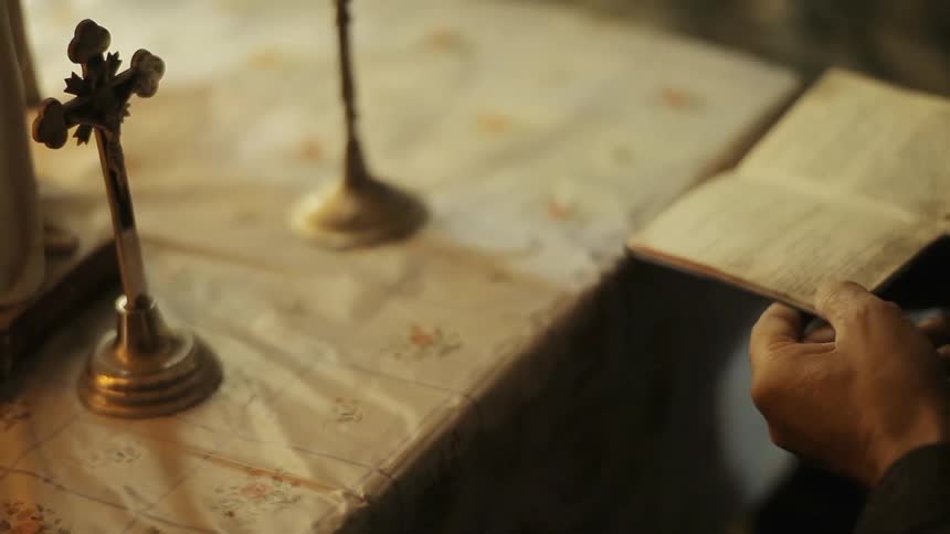 A person reading a book