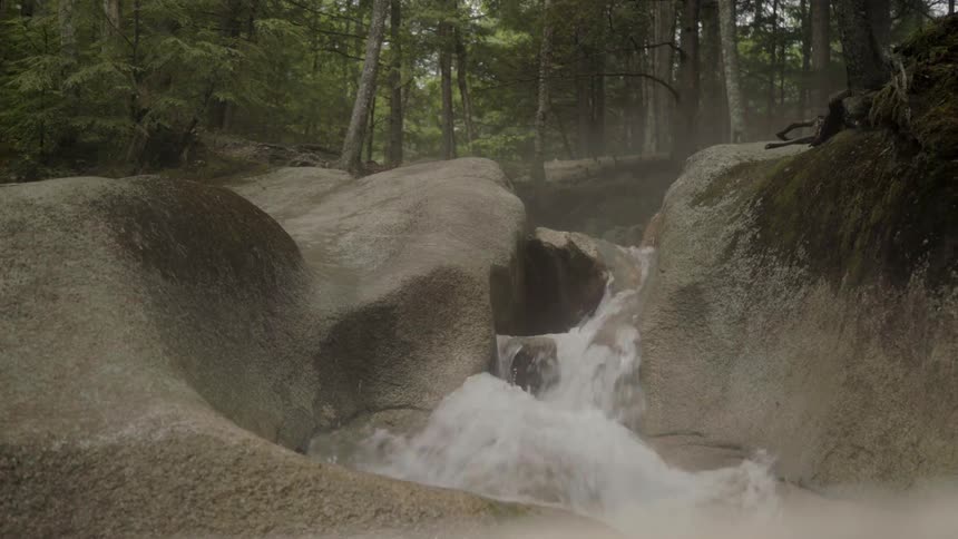 A stream cascades over rocks as it flows in a forest