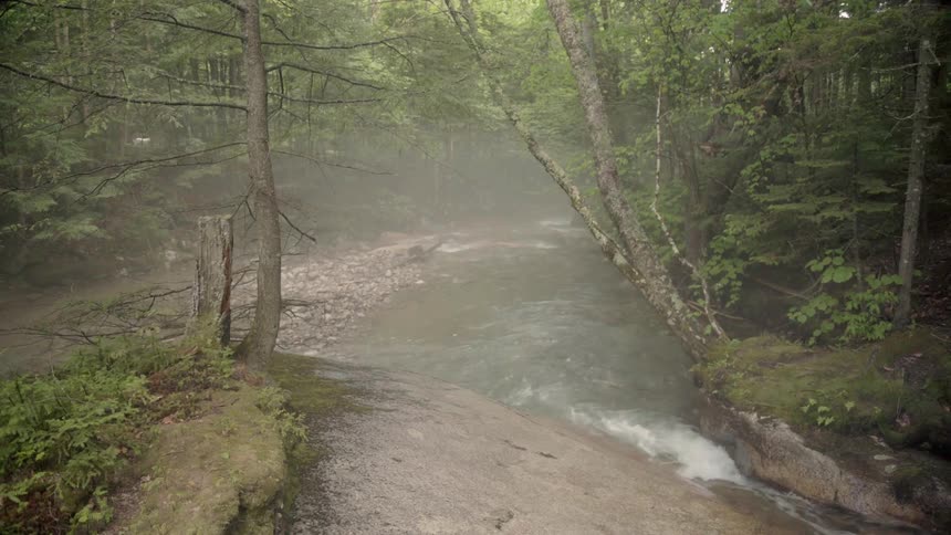 A stream rushes through a forest on a misty day