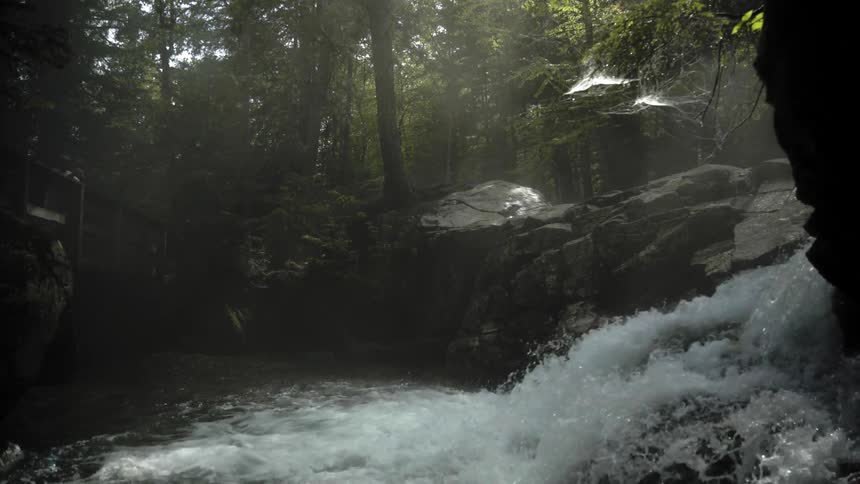 A stream cascades over rocks as it flows in a forest