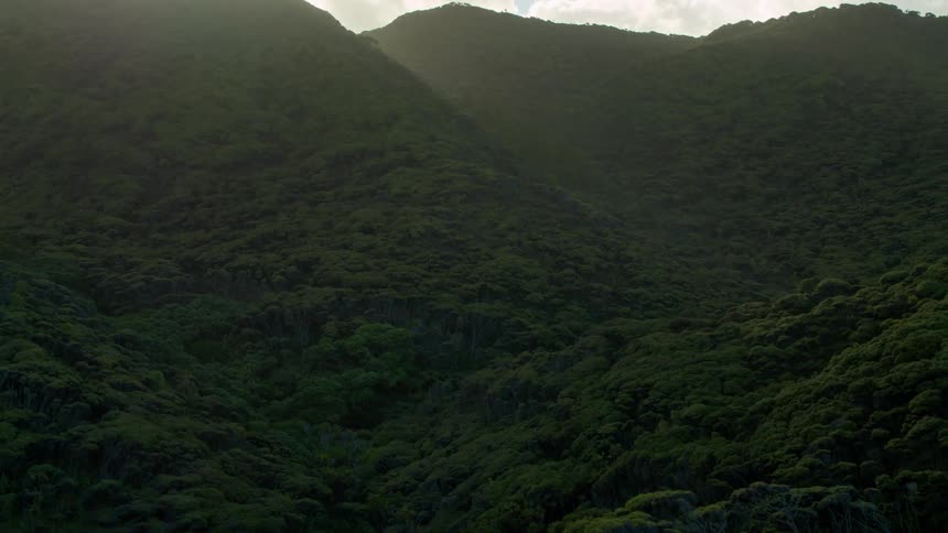 Rolling hills covered in trees