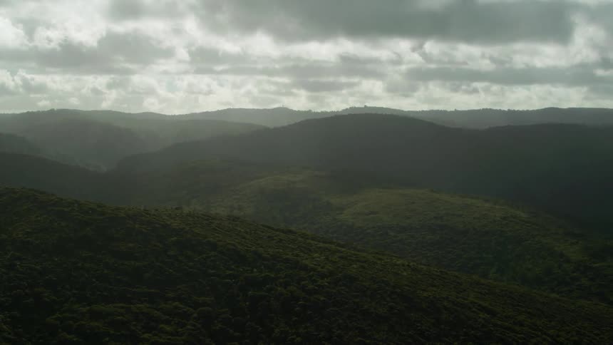 Rolling forested hills
