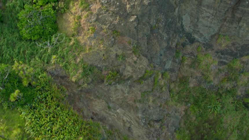 Shrub covered mountains