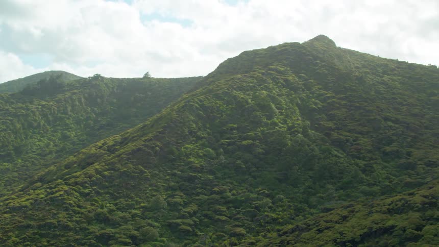 Dense jungle covers mountains under cloudy skies