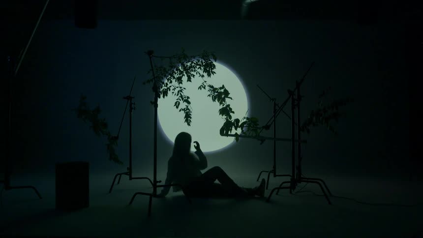A young woman lounges on a floor beneath suspended tree branches in a studio