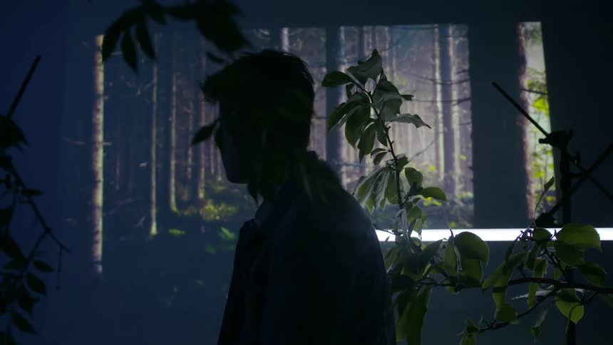 A young man stands in front of a forest scene projection