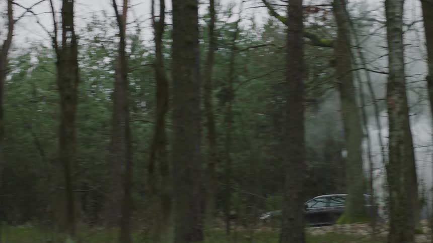 A car drives through a forest
