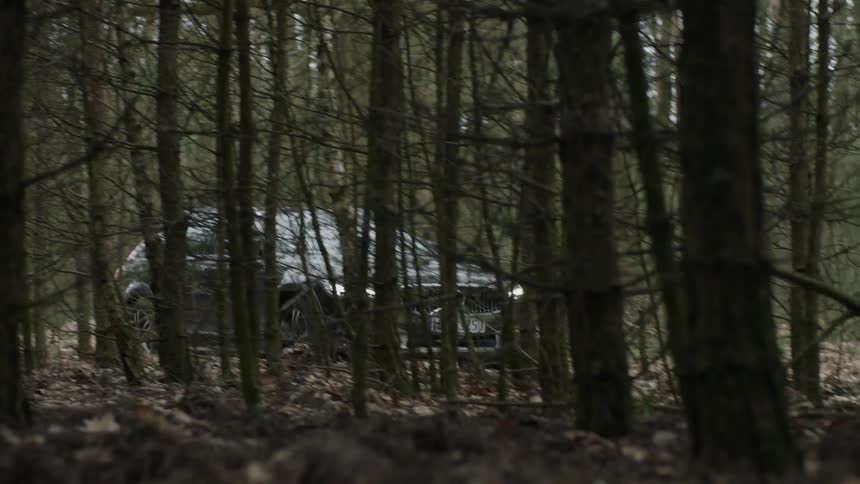 Car drives through a forest