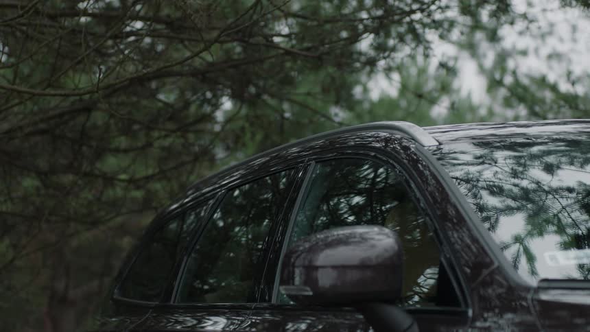 A car is parked beneath a tree