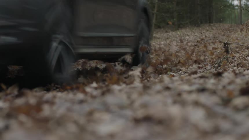 A black car rides through leaves in the woods