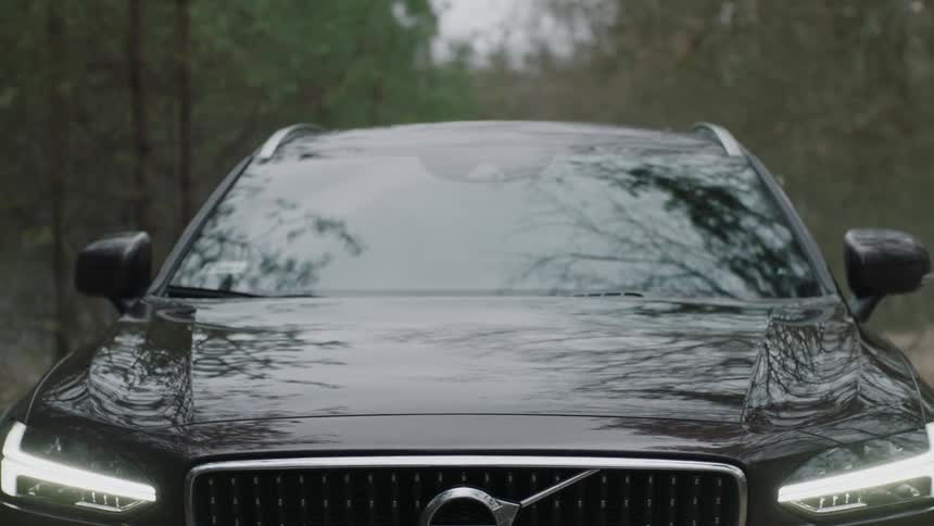 A black vehicle sits parked in the woods