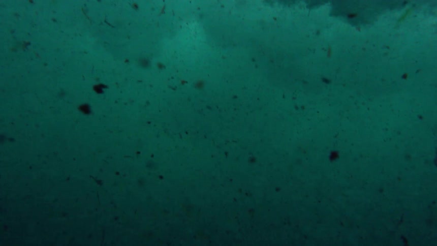 Bits of leaves and dirt in choppy water