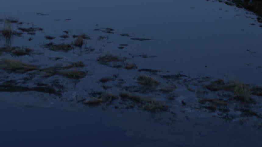 The reflection of birds over a river