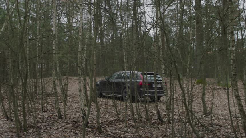 A vehicle drives out of a forest on an autumn day