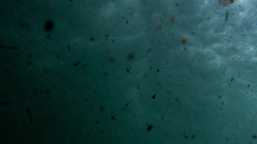 Debris sinks in the ocean as a wave crashes down
