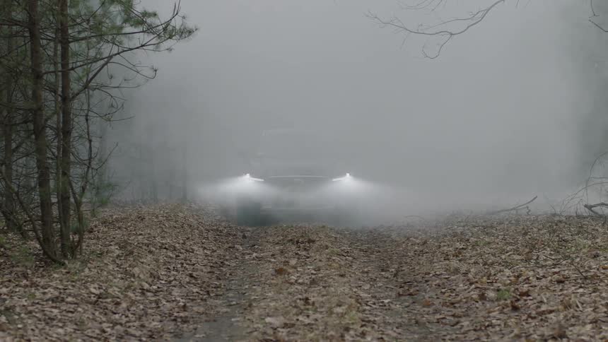 A black car rides through leaves in the woods