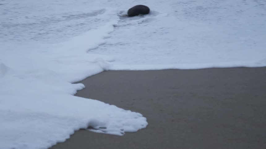 Ocean waves wash ashore a sandy beach