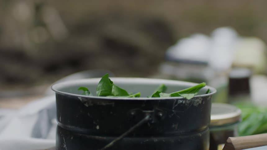 Herbs are piled in a cooking pot