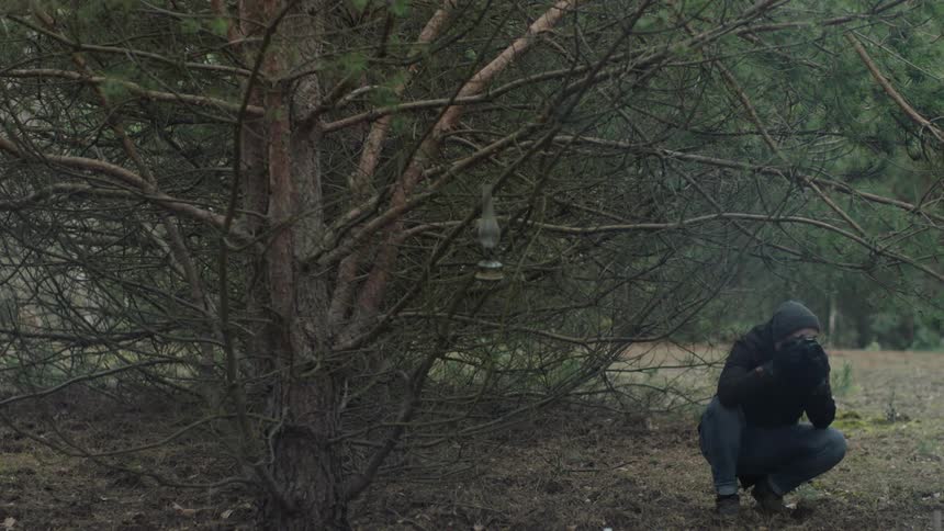 A photographer kneels under a tree to take a photo