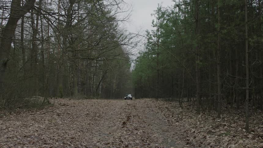 Car travels down a bumpy trail in the woods