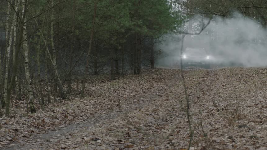 A car drives through a misty forest
