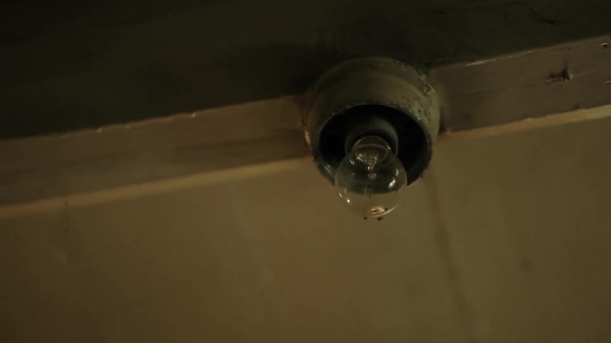Bugs fly around a light bulb that is off