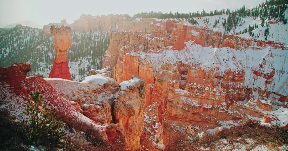 Snow falls on pine trees and rock pillars in a canyon during the day