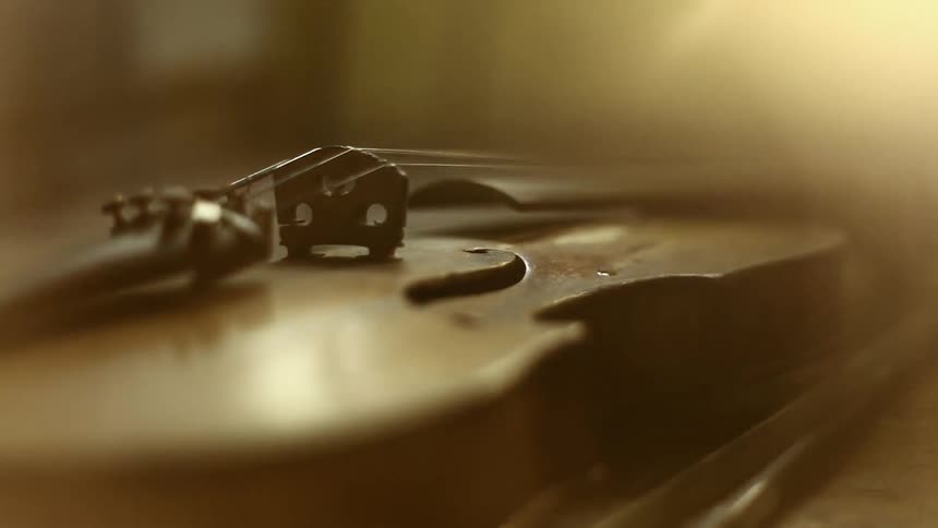 A violin