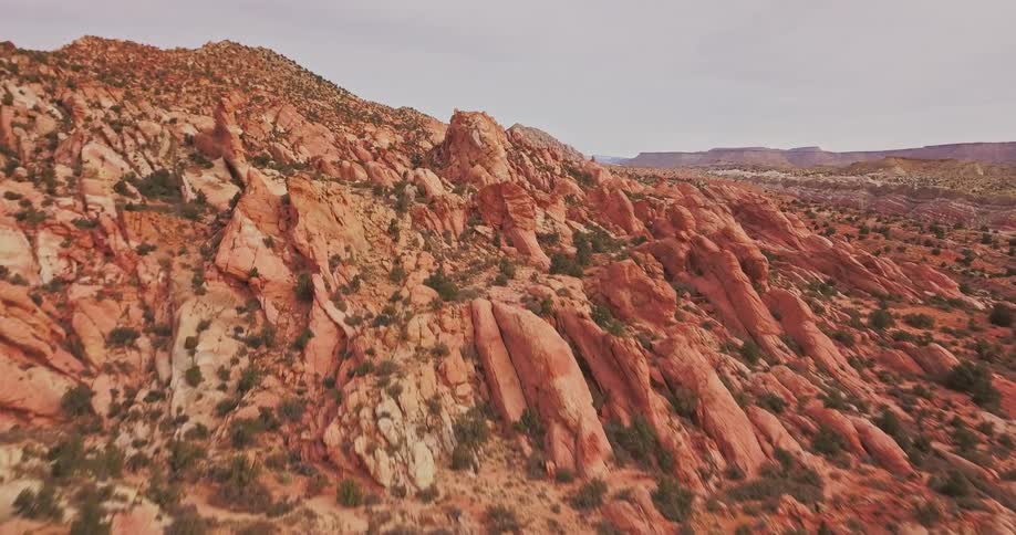Shrubs cover the clay hillside