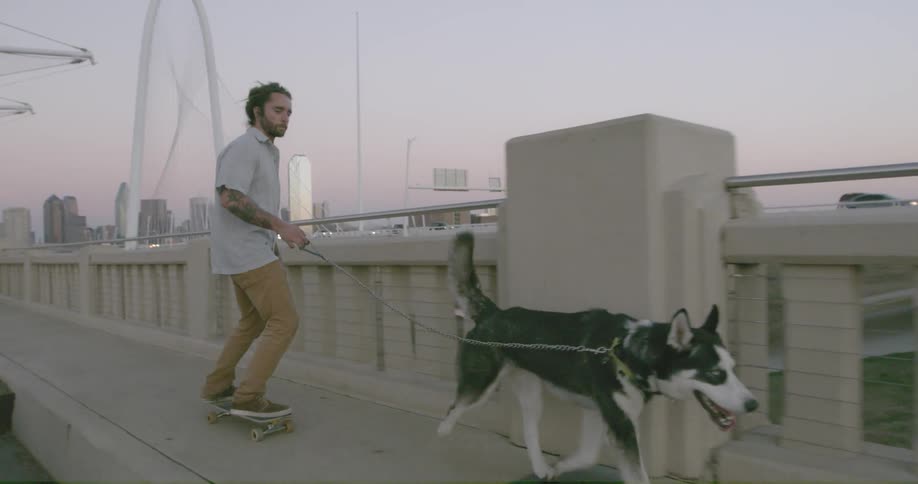 A dog pulls a man on a skateboard